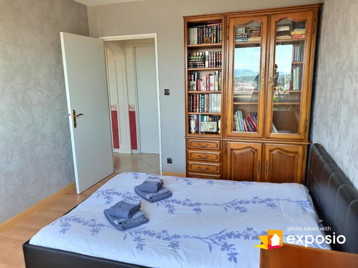 Bel Appartement Avec Vue Splendide Sur Toute La Ville De Colmar - Parking Gratuit 外观 照片